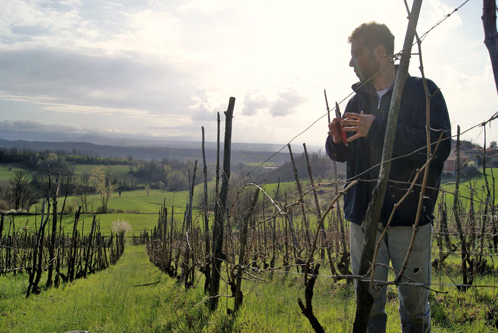 Oltretorrente • PIEMONTE