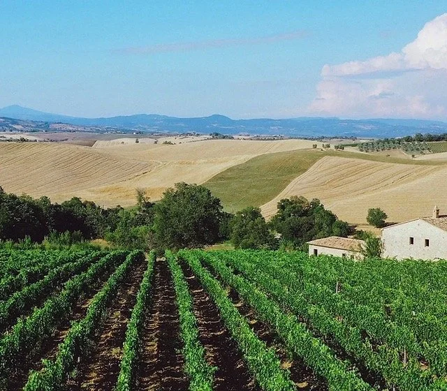 Tenuta Aquilaia • TOSCANA