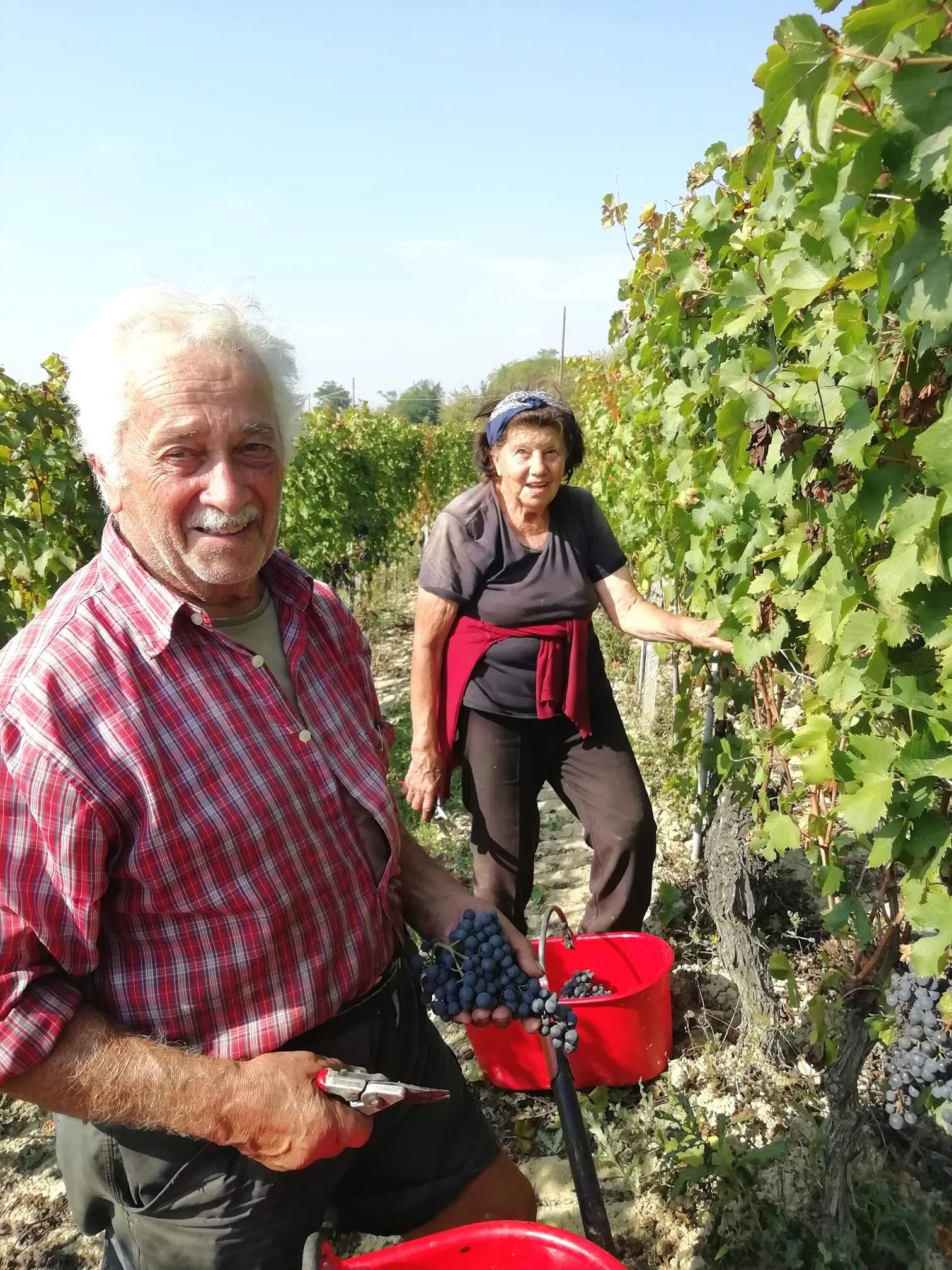 Cascina Borgatta • PIEMONTE