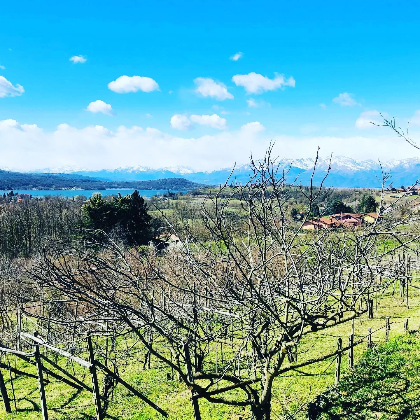 Villa Guelpa • PIEMONTE