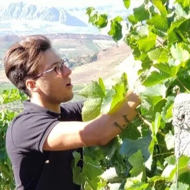 Case Alte • SICILIA