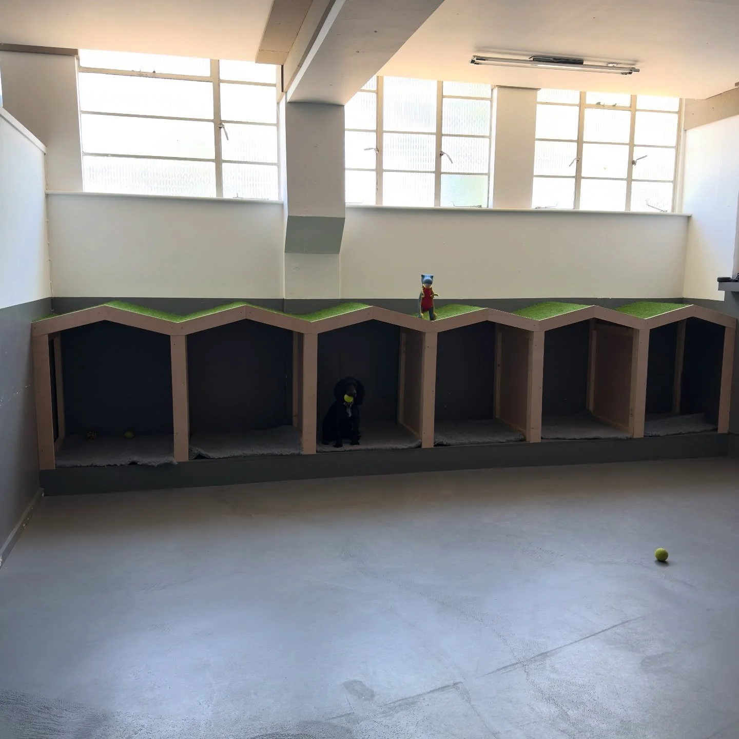 Ally Pally is getting a little upgrade &ndash; new dog houses are underway 

#TheWagClub #DoggyDaycare #AllyPally #DogLife #HappyDogs