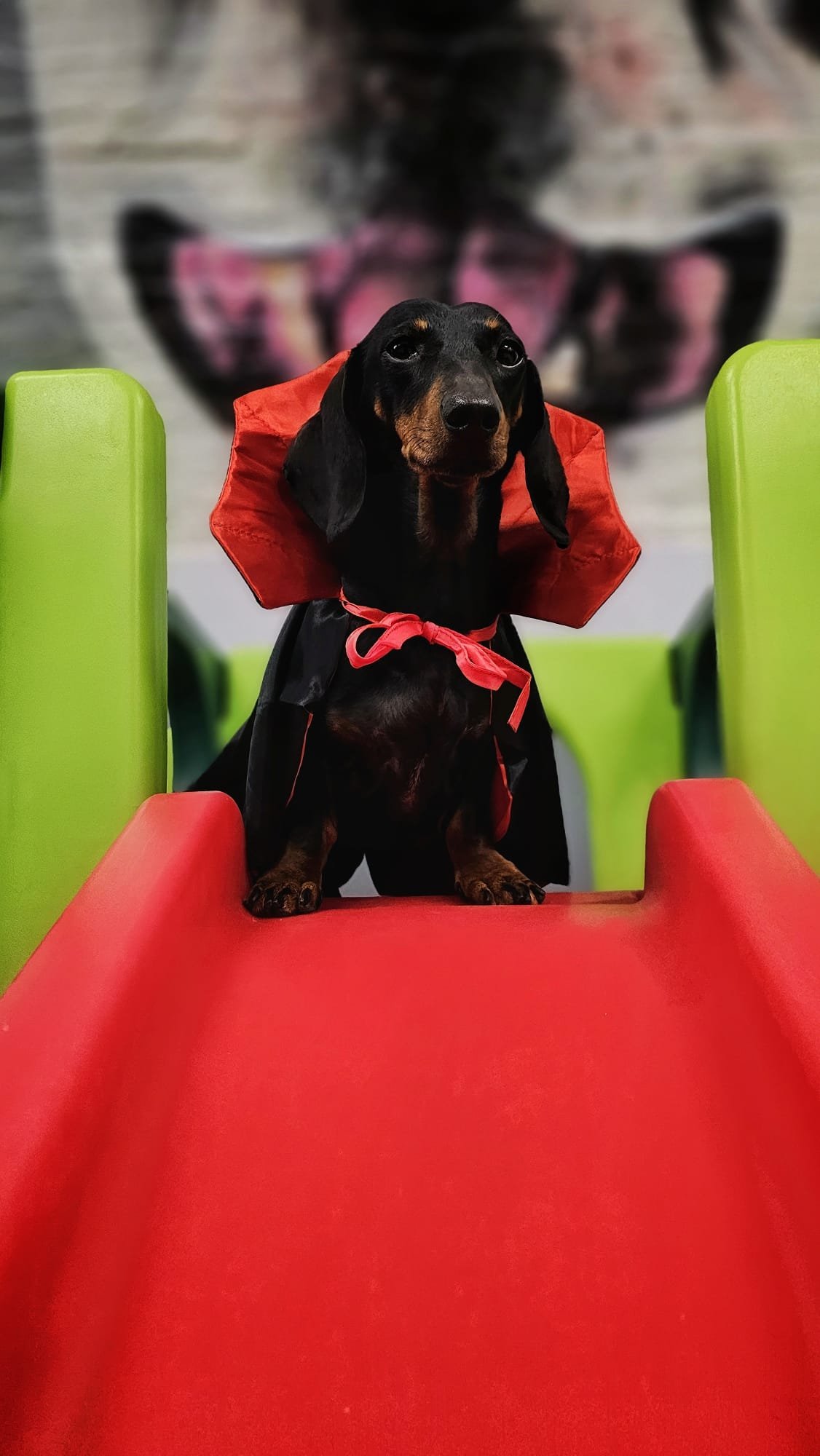 Our October Newsletter: Halloween at The Wag Club. A Howling Success Across North London