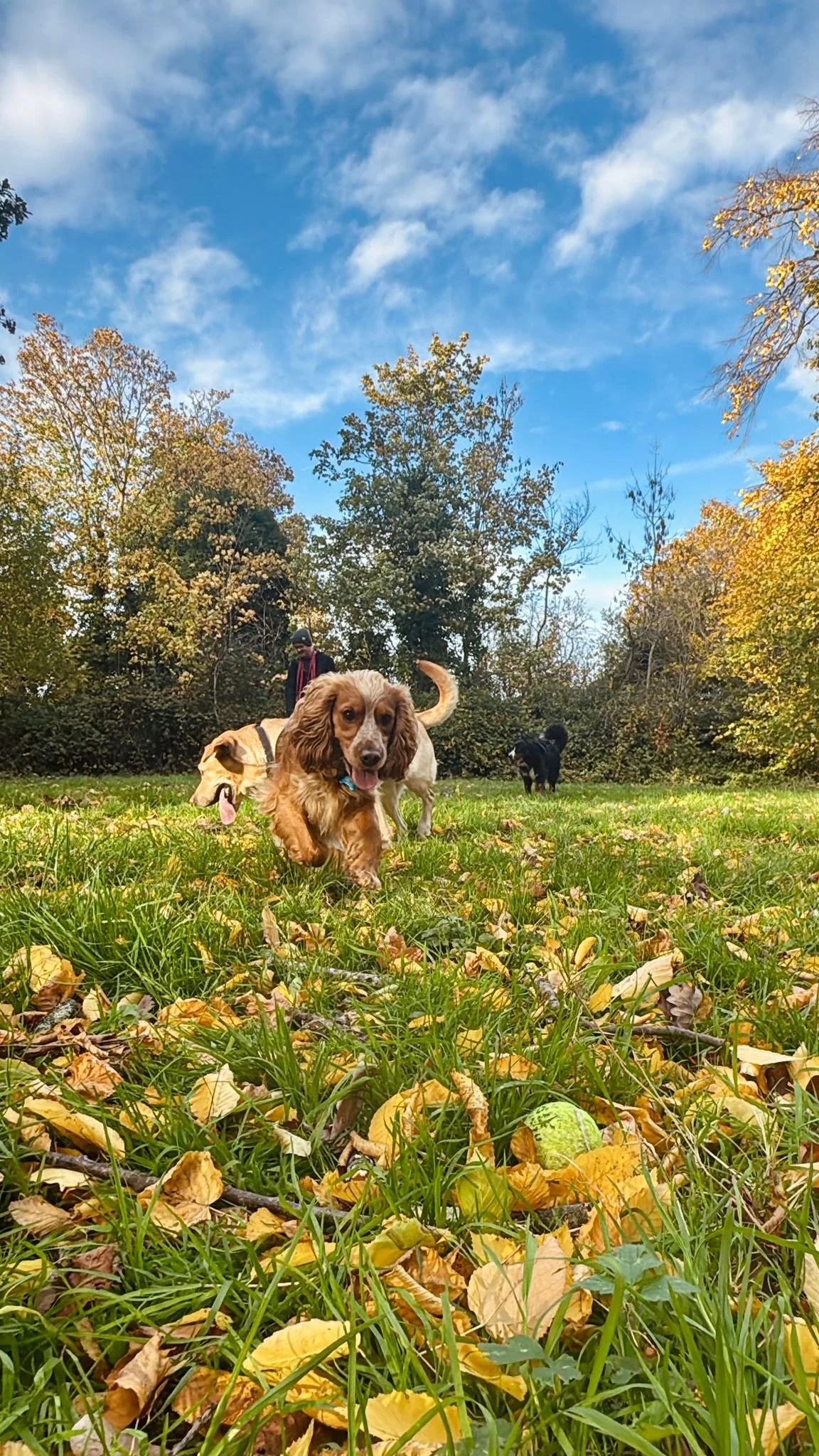 Our November Newsletter: Staying Safe &amp; Having Fun This Bonfire Night