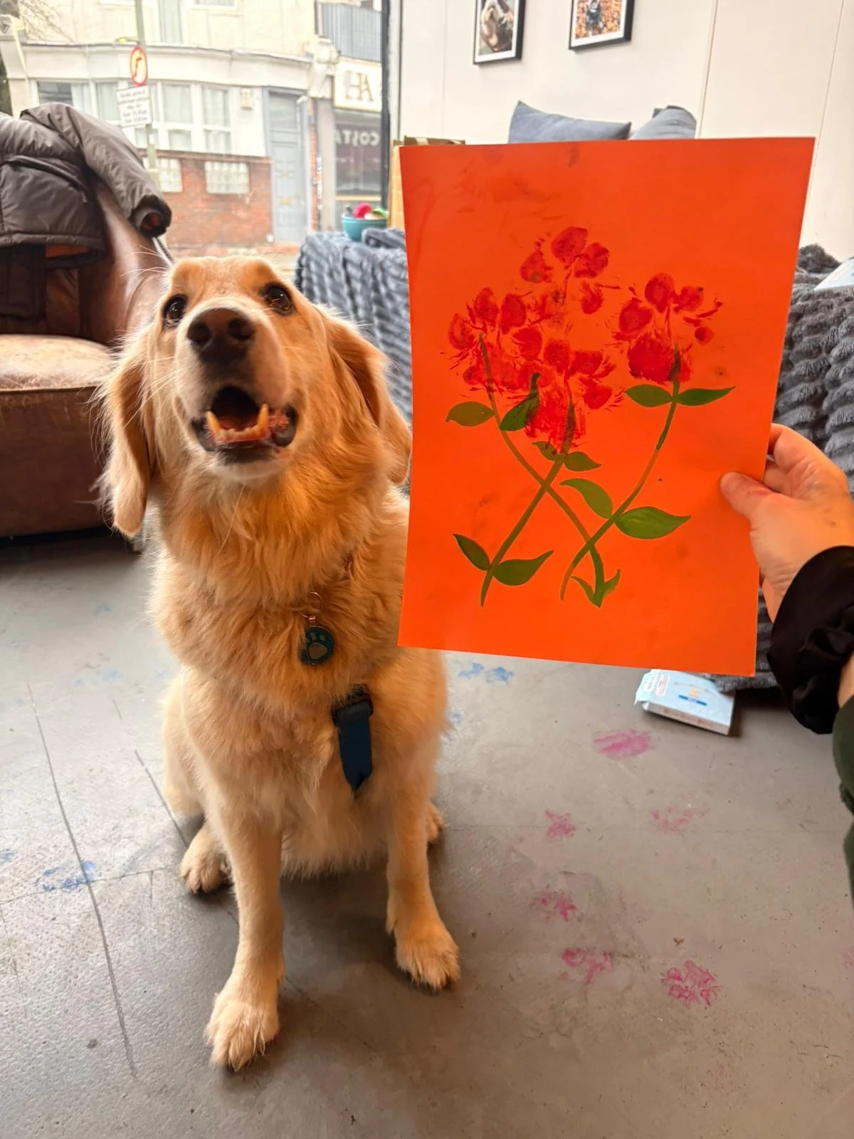 Starting 2026 with a Bang: January at The Wag Club