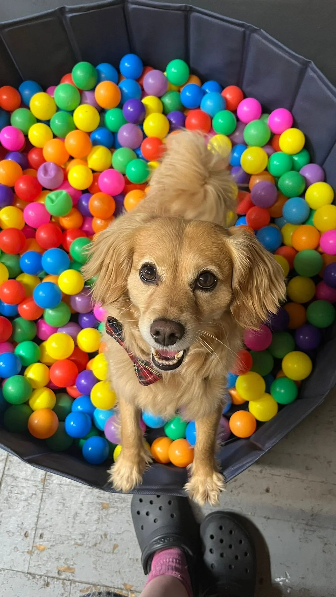 May: our favourite kind of busy 🐾