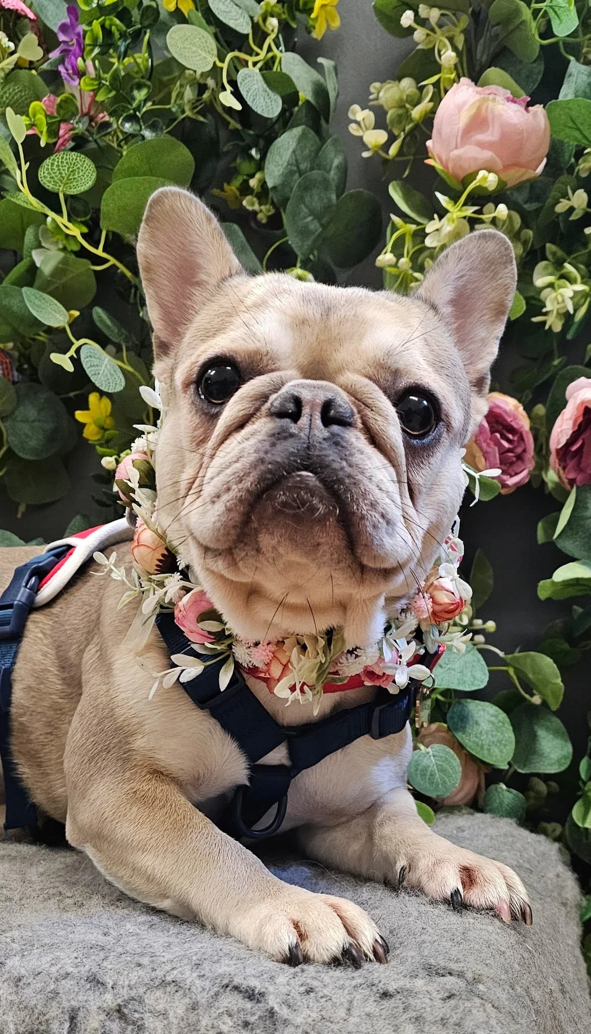 June: full bloom