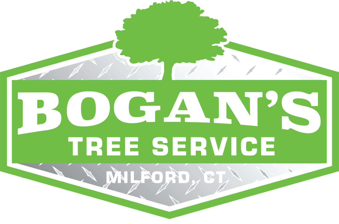 Bogan's Tree Service