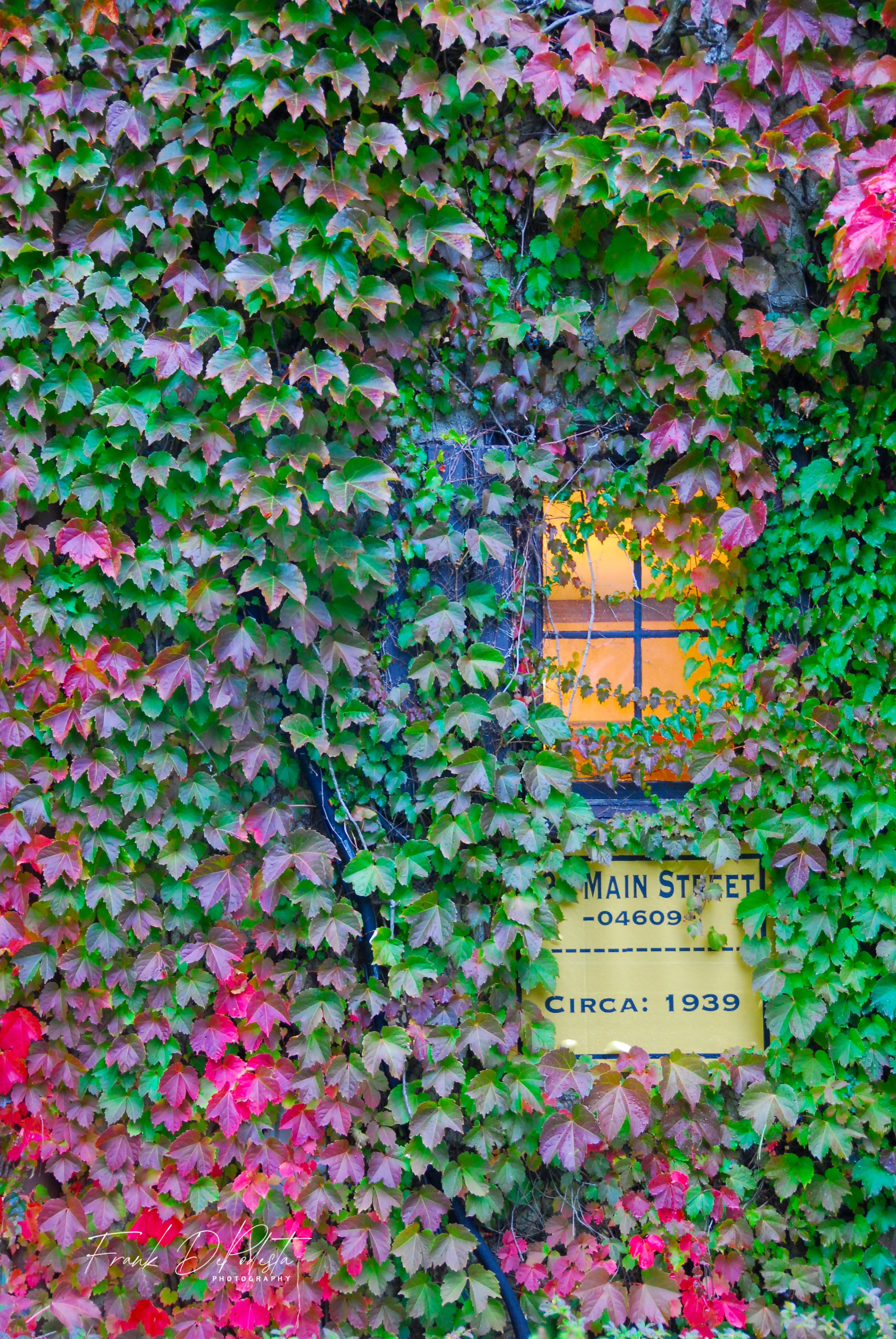 Overgrown