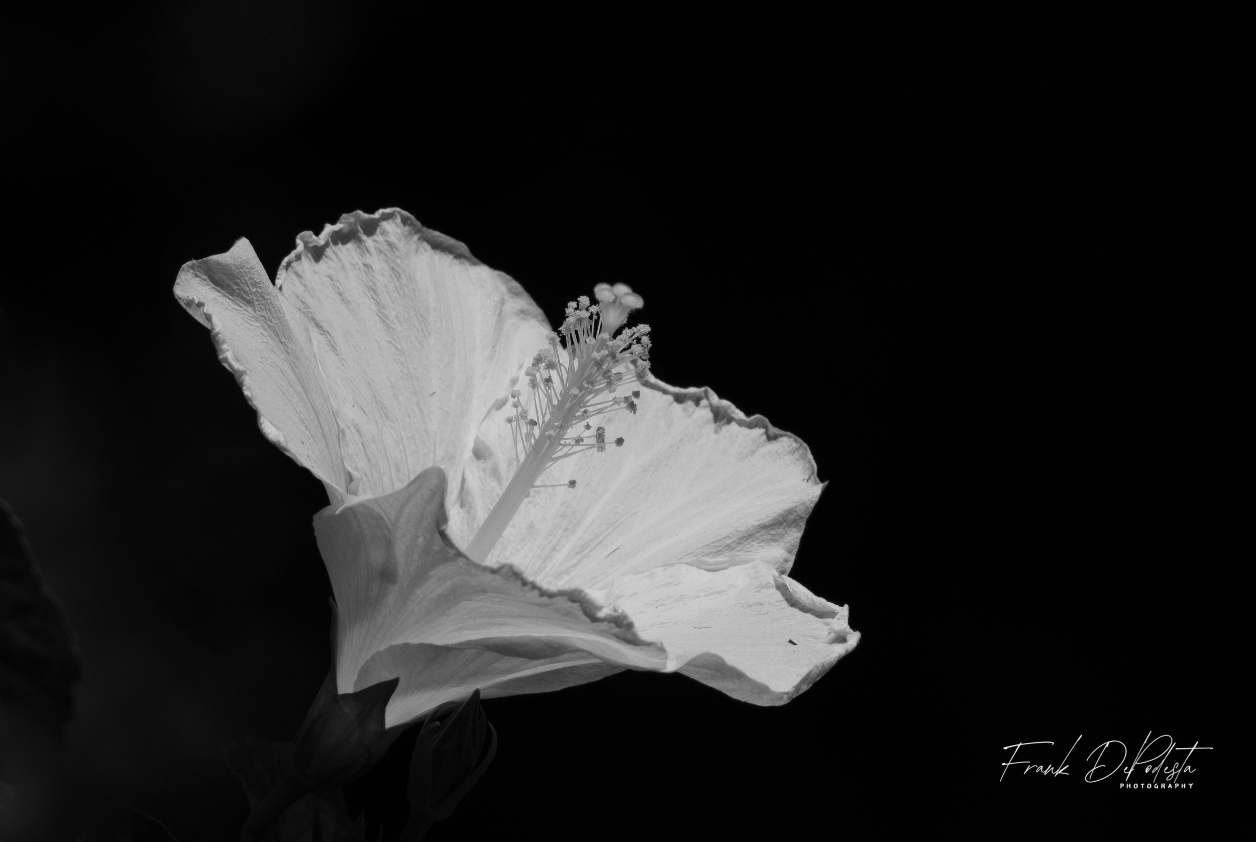 Contrast