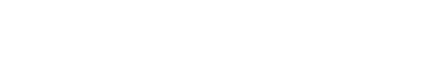 Montone &amp; Partners