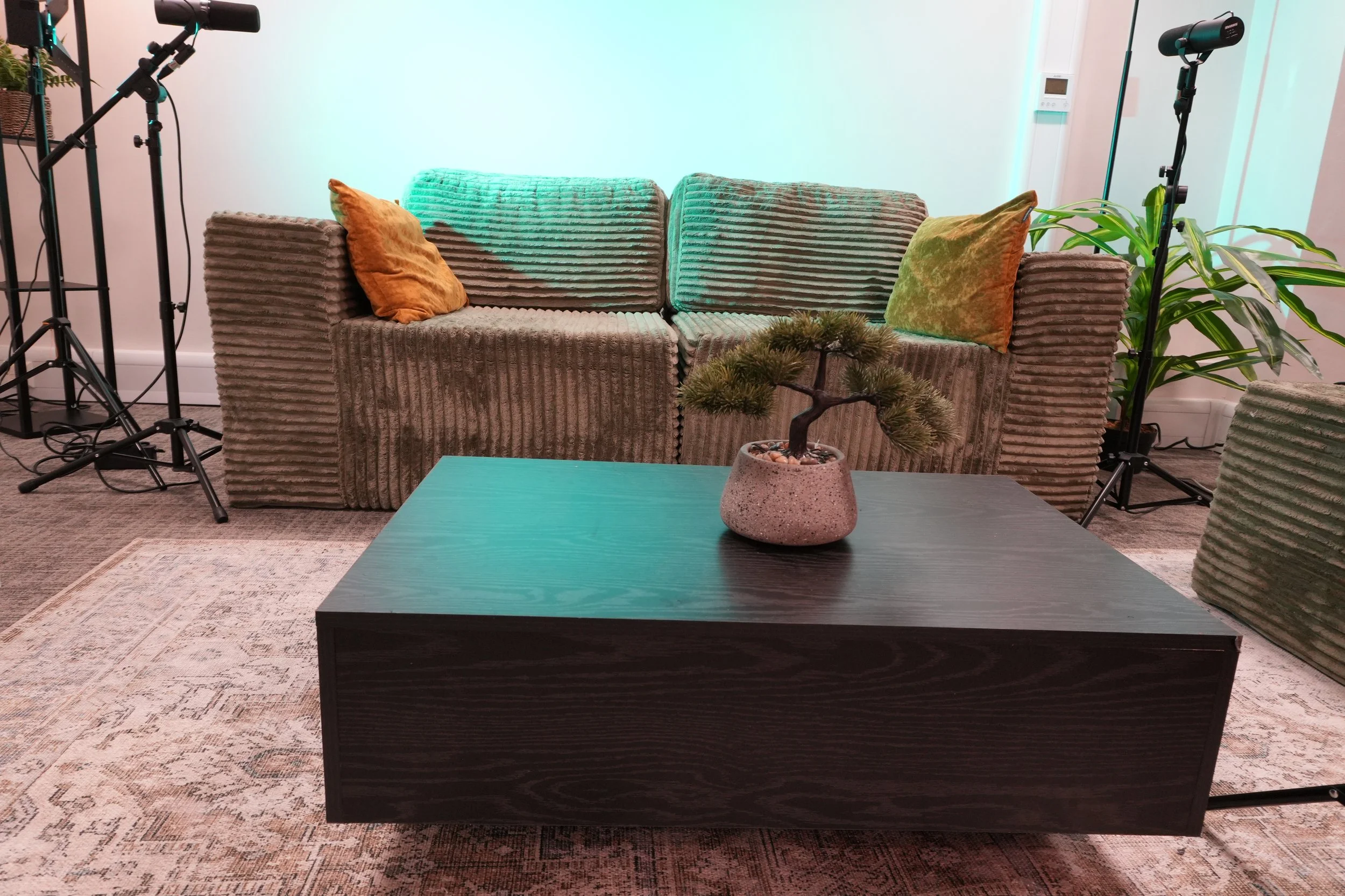 Living room with a gray corduroy sofa, two orange pillows, a black coffee table, a small potted bonsai plant, a large green plant, and studio lighting equipment.