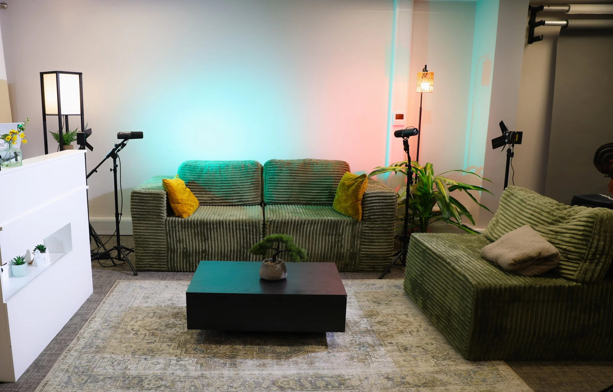 Living room with green velvet sofas, yellow and beige pillows, a black coffee table with a potted bonsai, a white shelving unit with potted plants, and professional lighting equipment. The space has a light-colored rug and a neutral wall background.