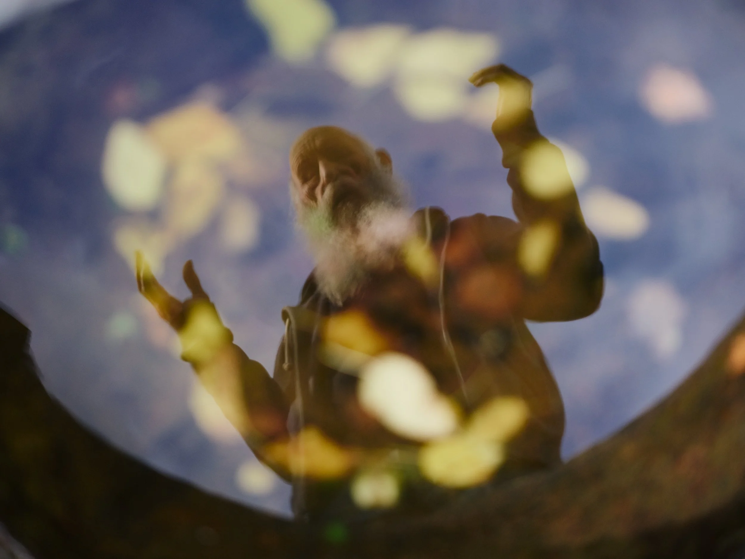 Thom beeldselectie MCFV1 - #4.jpg