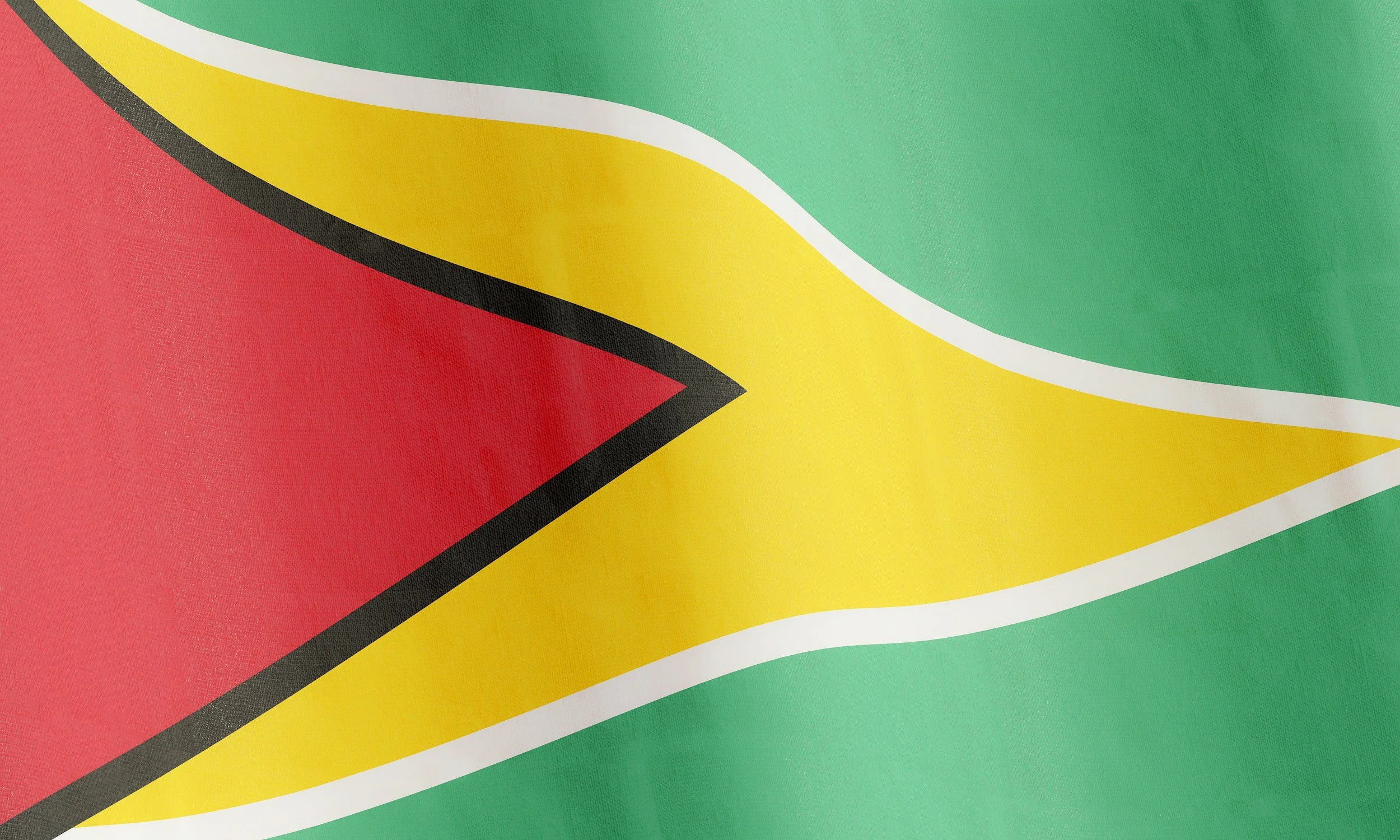 Flag of Guyana featuring green, yellow, red, white, and black colors.