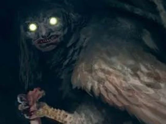 The Witch Owl