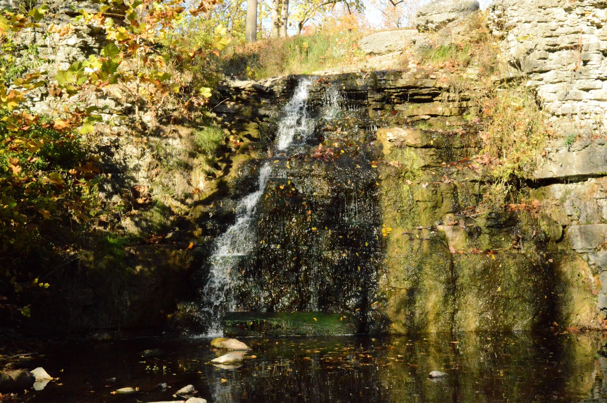 DSC_0093-2.jpg