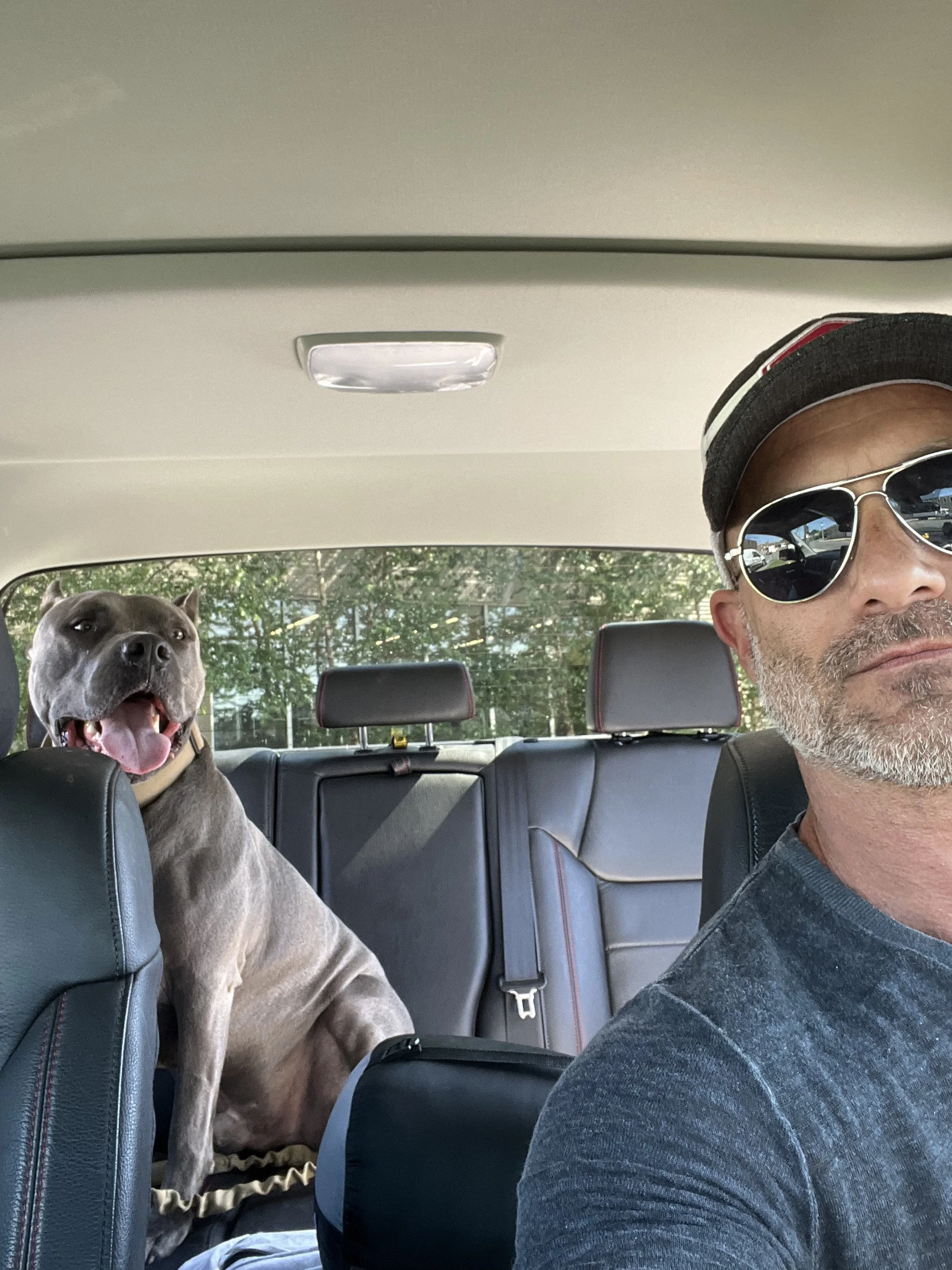 A man wearing sunglasses and a cap sitting in a car with a happy dog in the back seat, with trees visible outside the window.