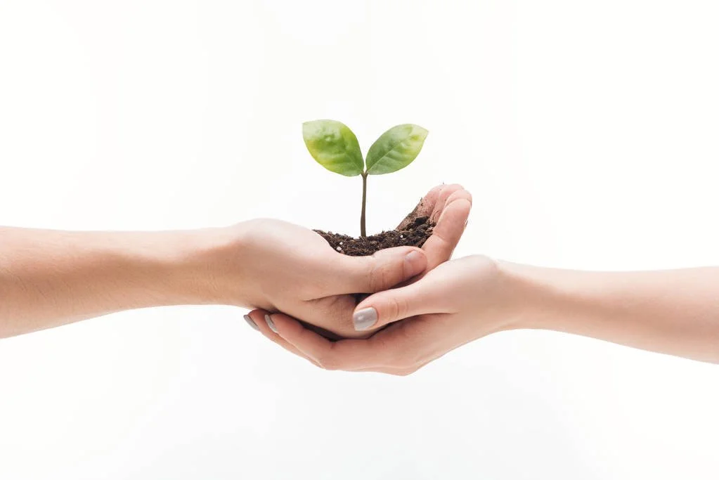 Two hands gently holding a small mound of soil with a sprouting plant, symbolizing growth and sustainability.