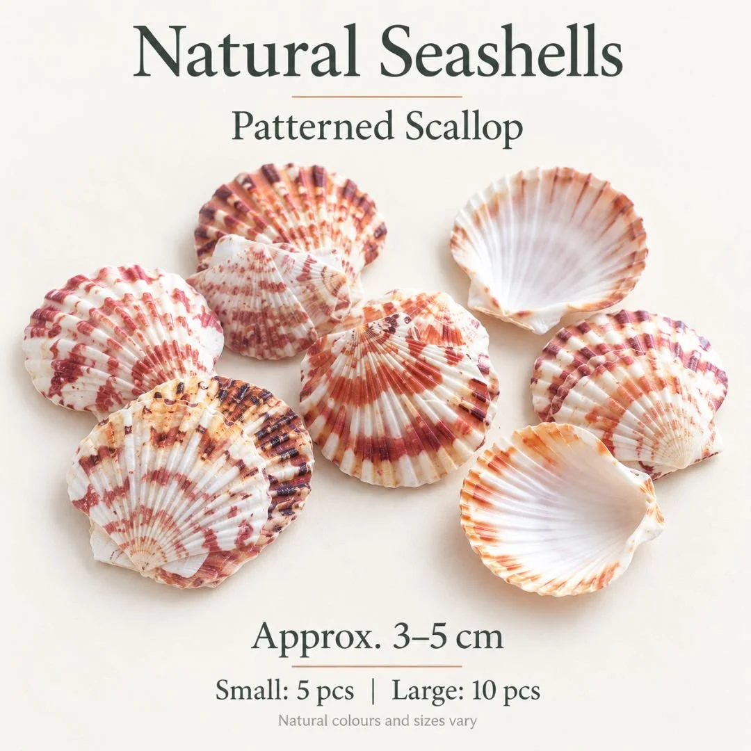 8 Patterned Scallop.jpg