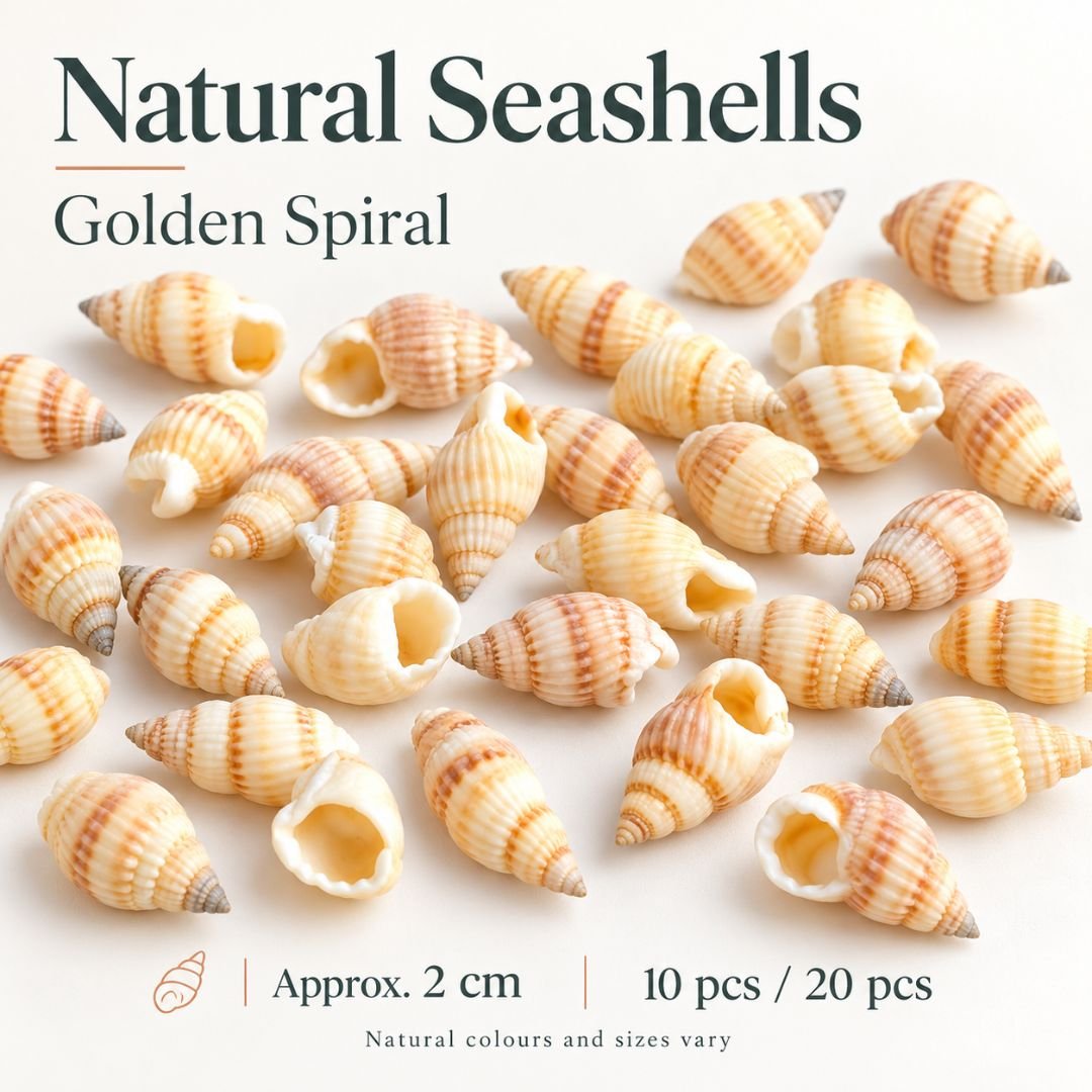 2 Golden Spiral.jpg