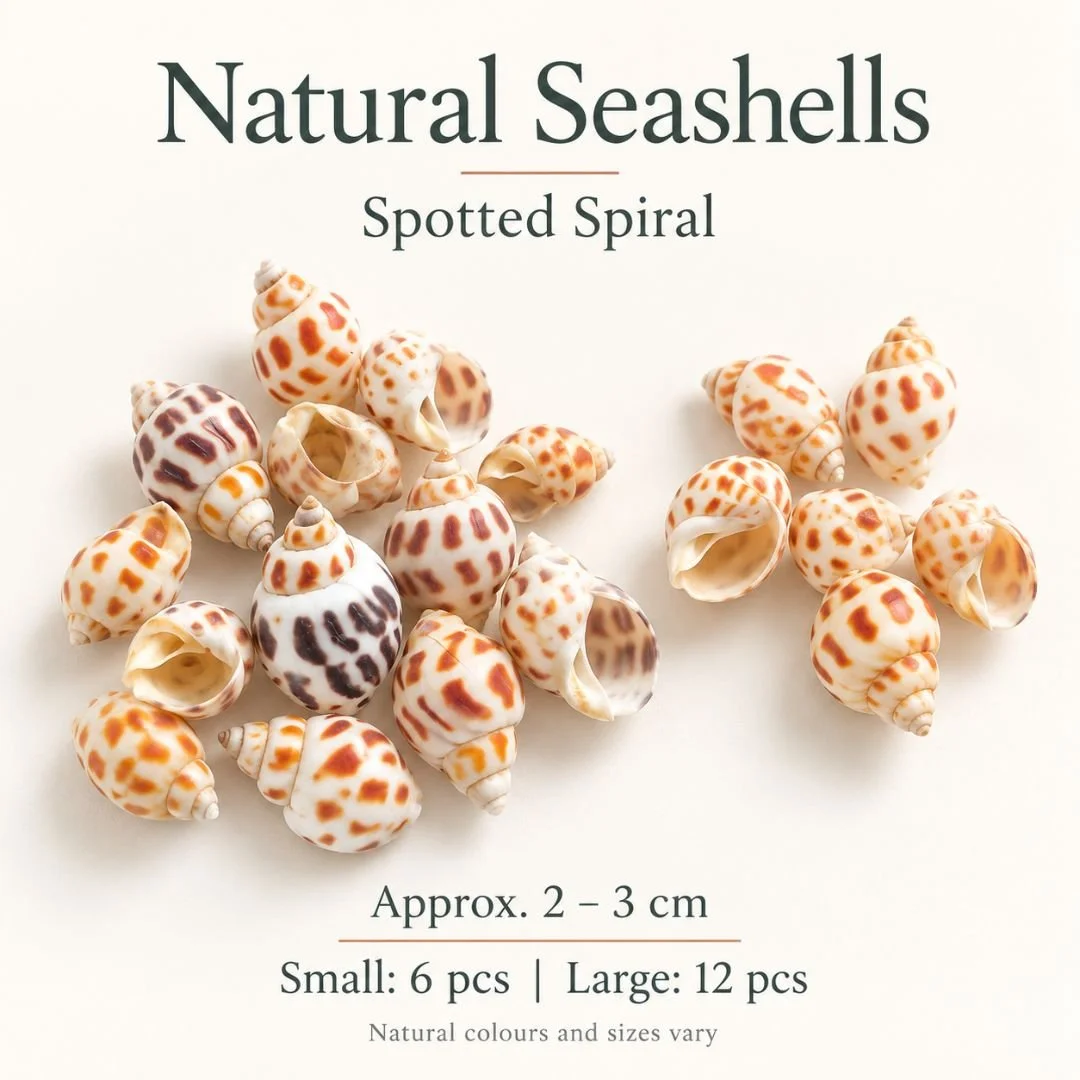 3 Spotted Spiral.jpg