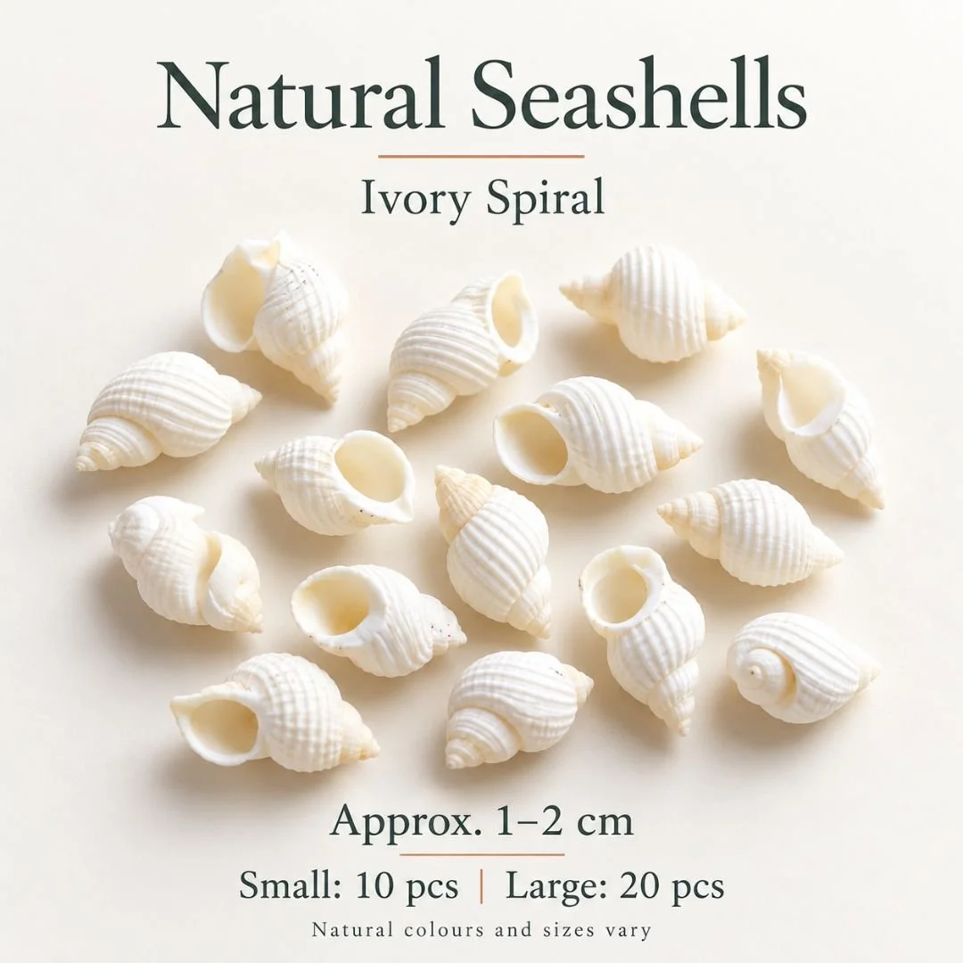 4 Ivory Spiral.jpg