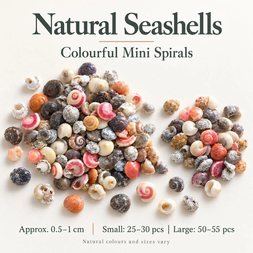 5 Colourful Mini Spiral.jpg