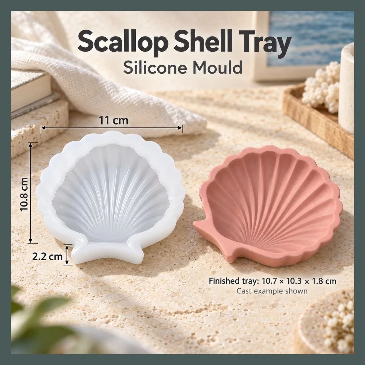 Scallop shell Tray