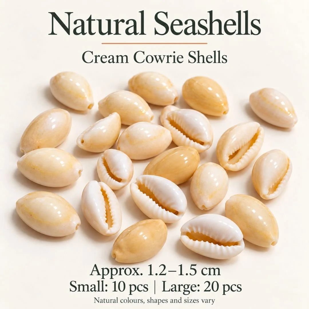9 Cream Cowrie.jpg