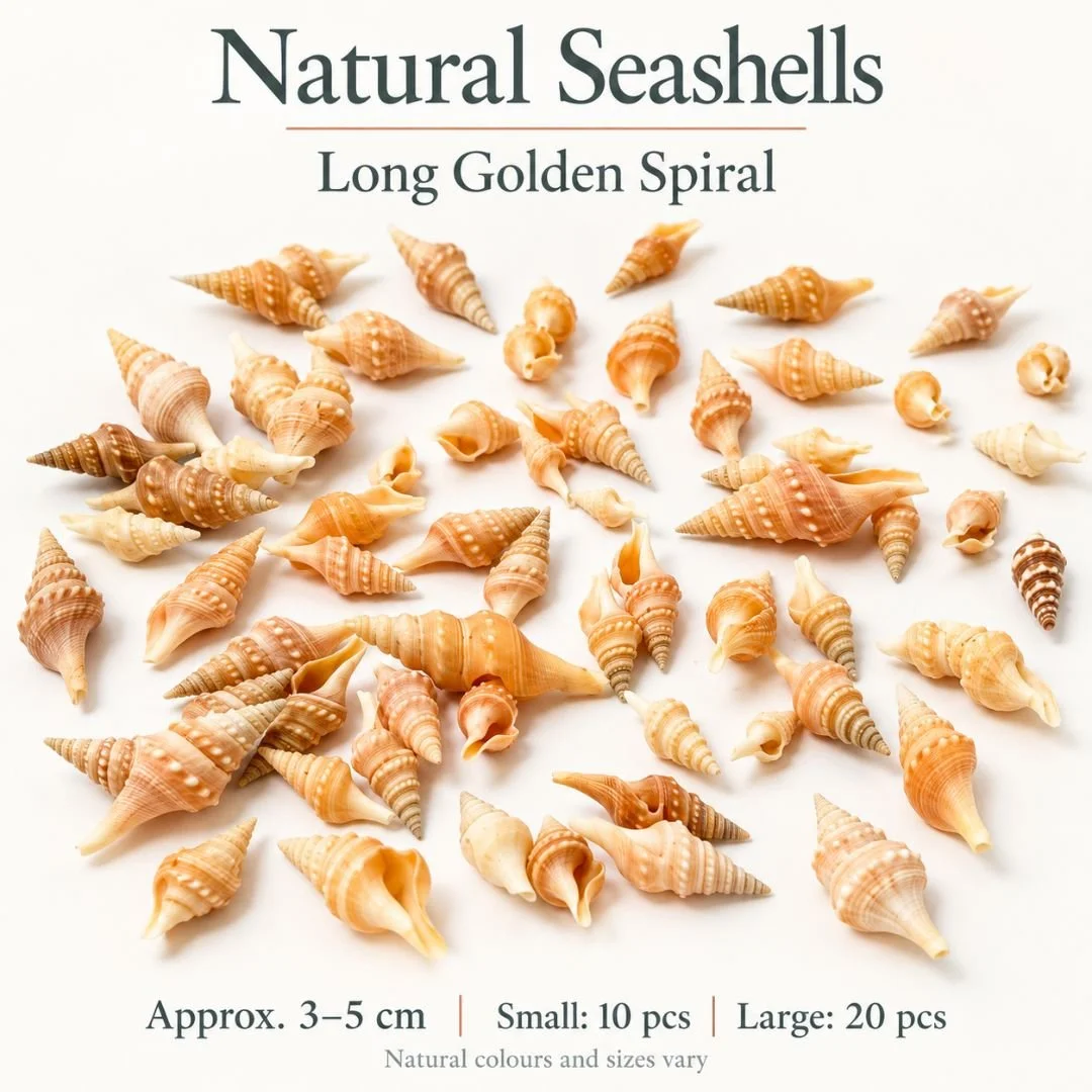 7 Long Golden Spiral.jpg
