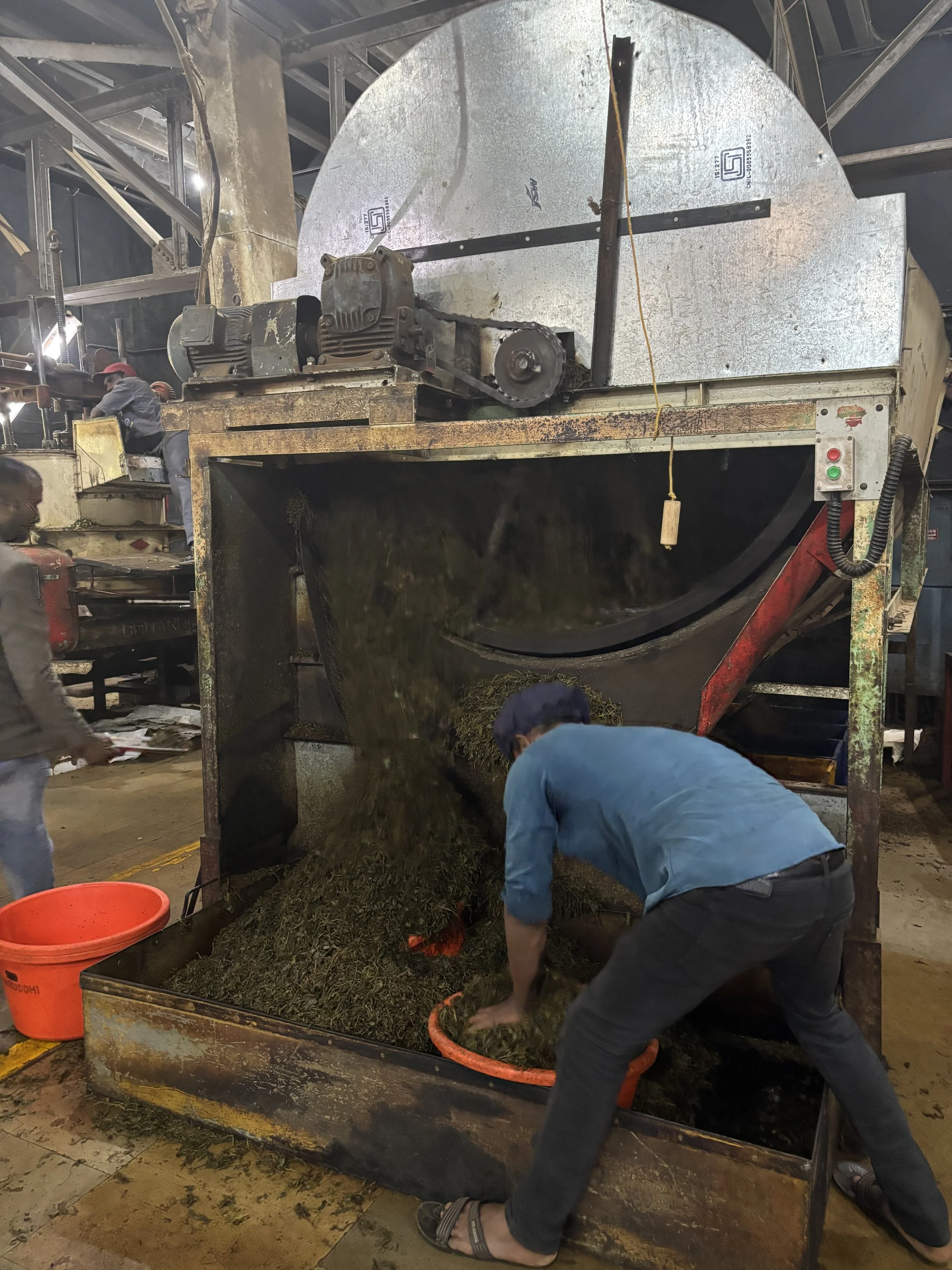 Making Tea 3.jpg