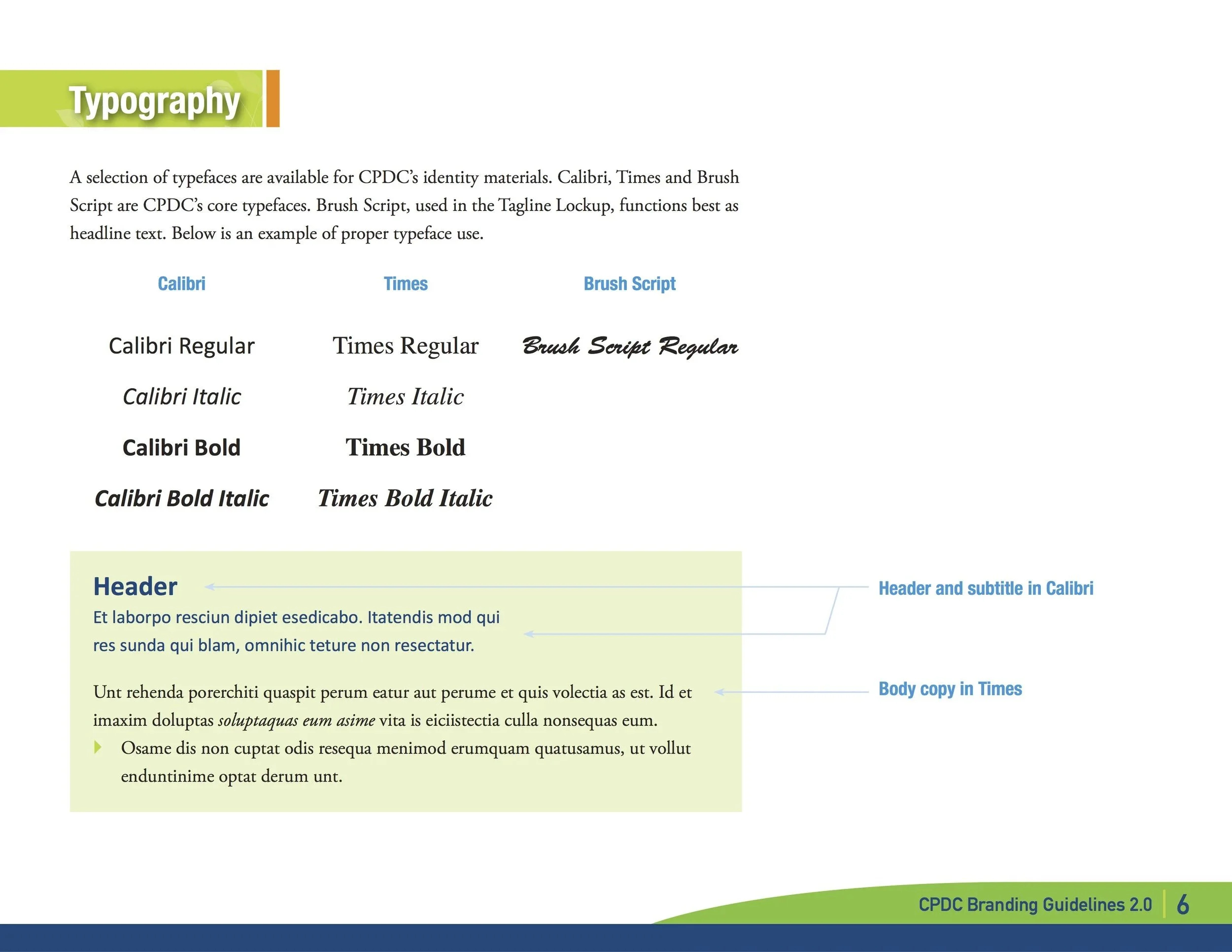 An infographic displaying examples of typography styles, including Calibri, Times, and Brush Script, with sample text in various weights and styles under each font. It also highlights a header section with a light green background, showing sample par