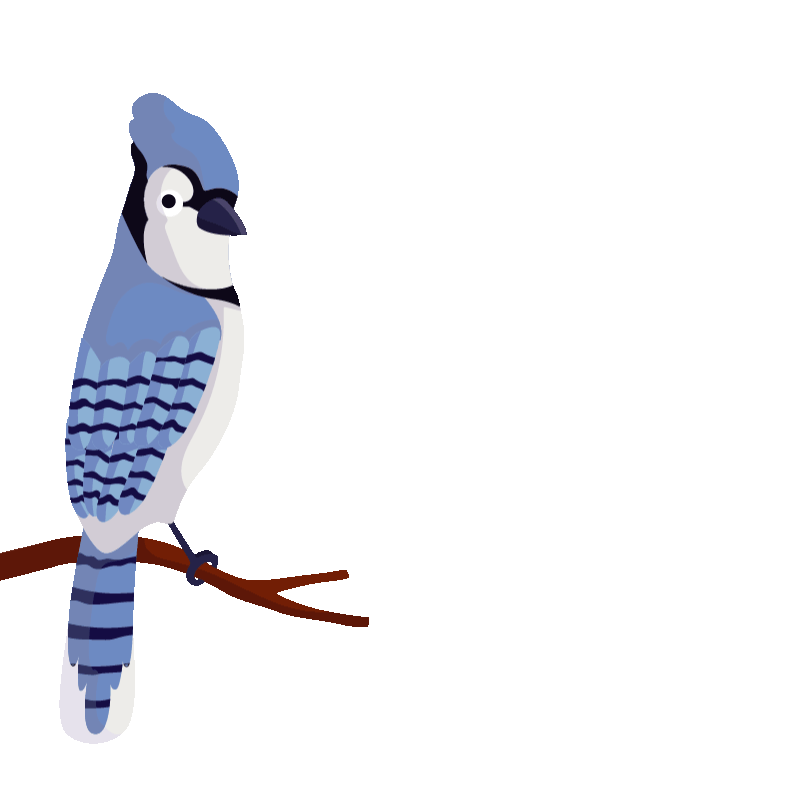 Illustration of a blue jay bird perched on a tree branch.