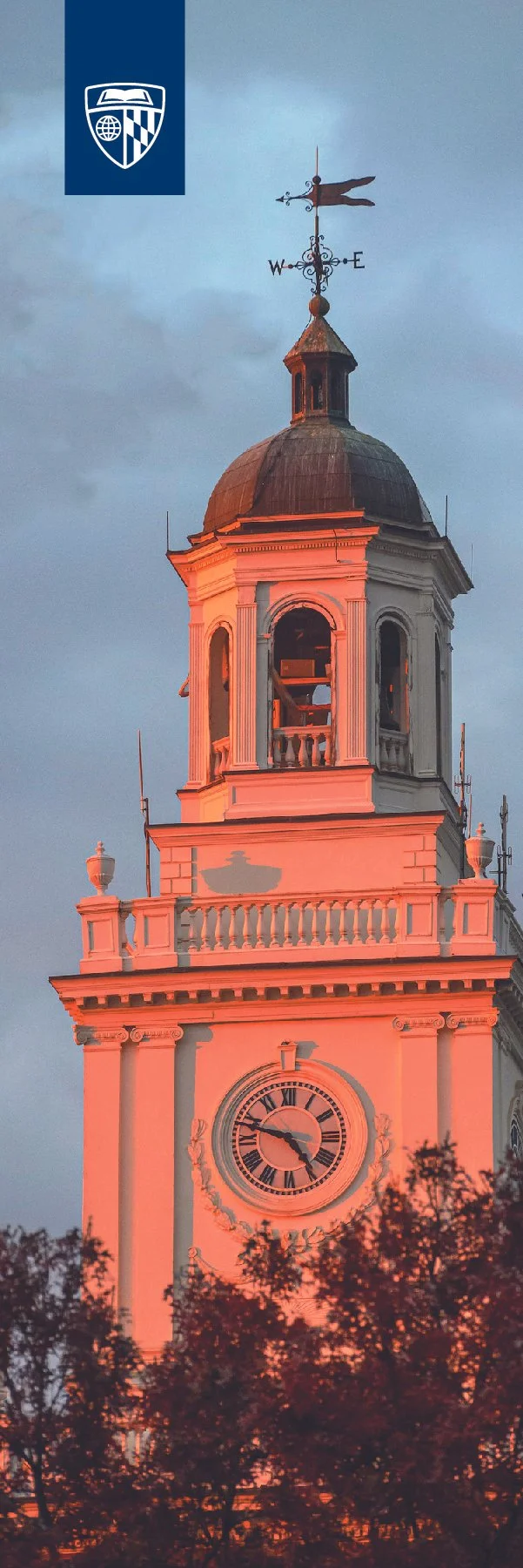 A historic clock tower bathed in sunset light, with a weather vane on top, trees in the foreground, and an overcast sky in the background.