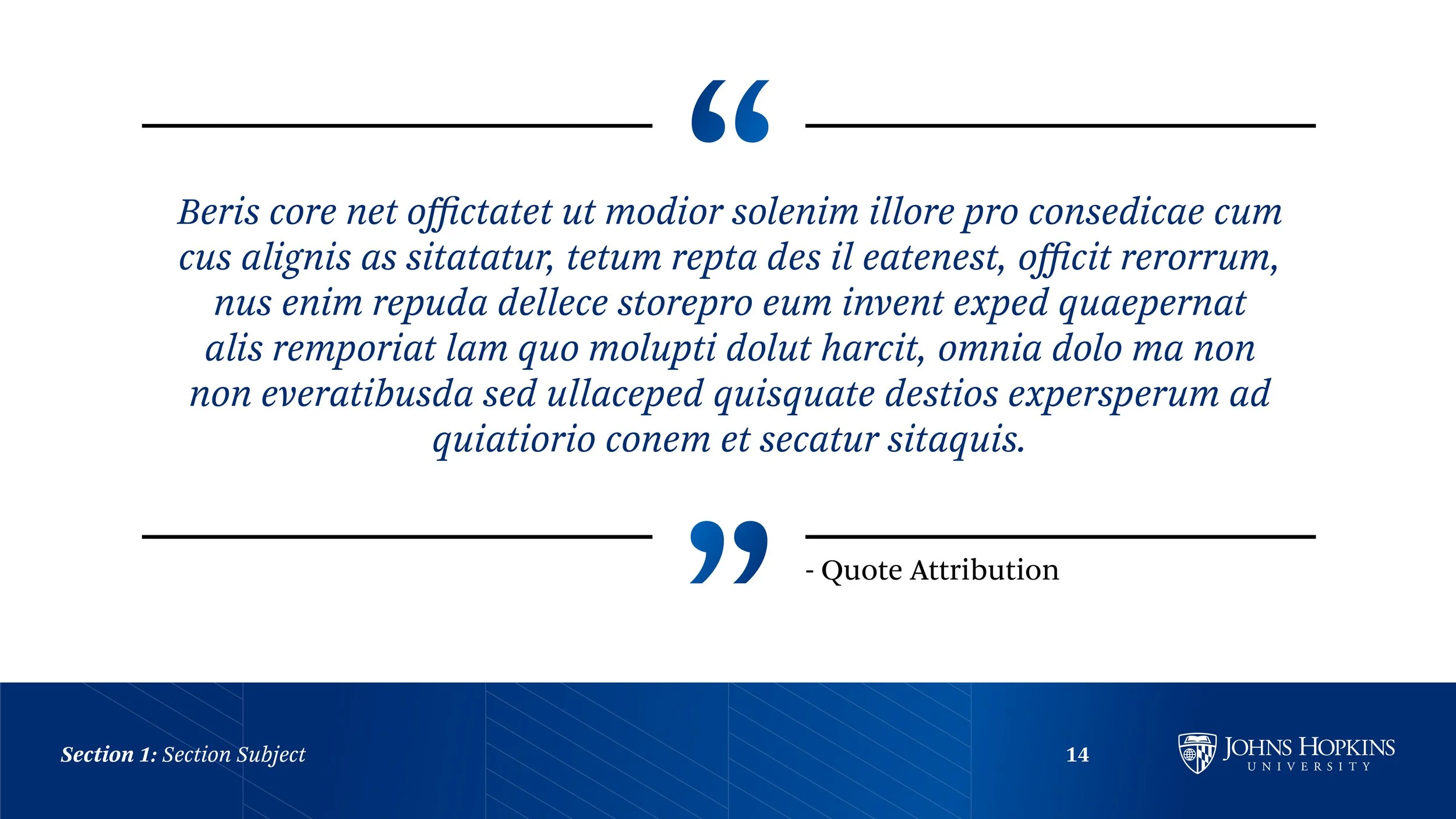 A slide from a presentation displaying a quote in blue cursive text with quotation marks and attribution. The slide includes a blue footer with section and university name, Johns Hopkins University, logo, and page number.