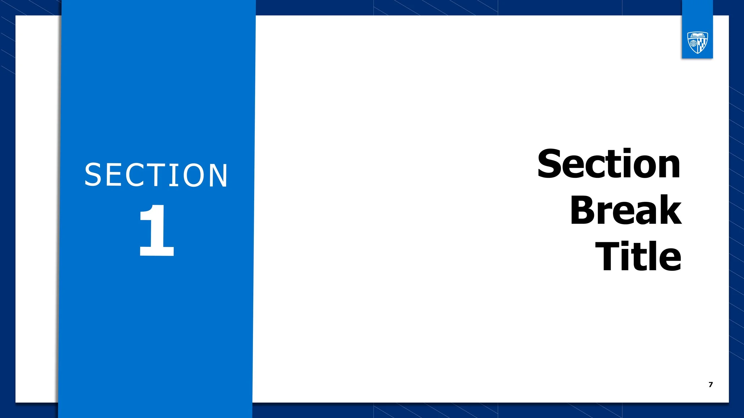 Slide from a presentation with a blue and white design, titled 'Section Break Title', indicating the beginning of new content in a section.