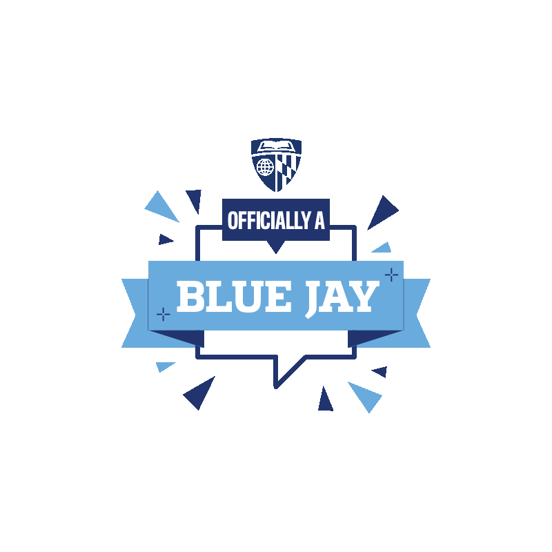 Officially a Blue Jay logo with a crest, shield, and banner in shades of blue and white.
