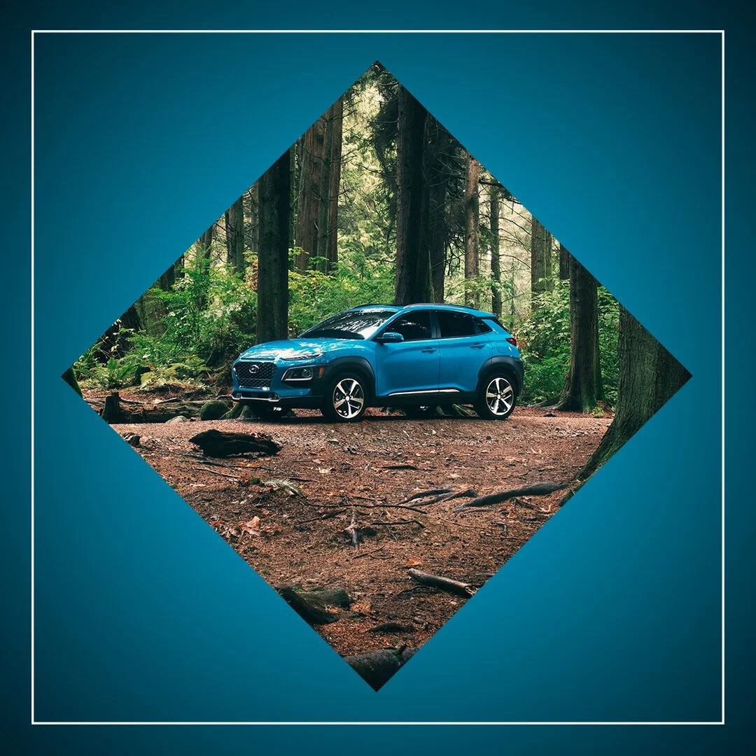 A blue SUV parked on a forest trail surrounded by tall trees and green foliage.