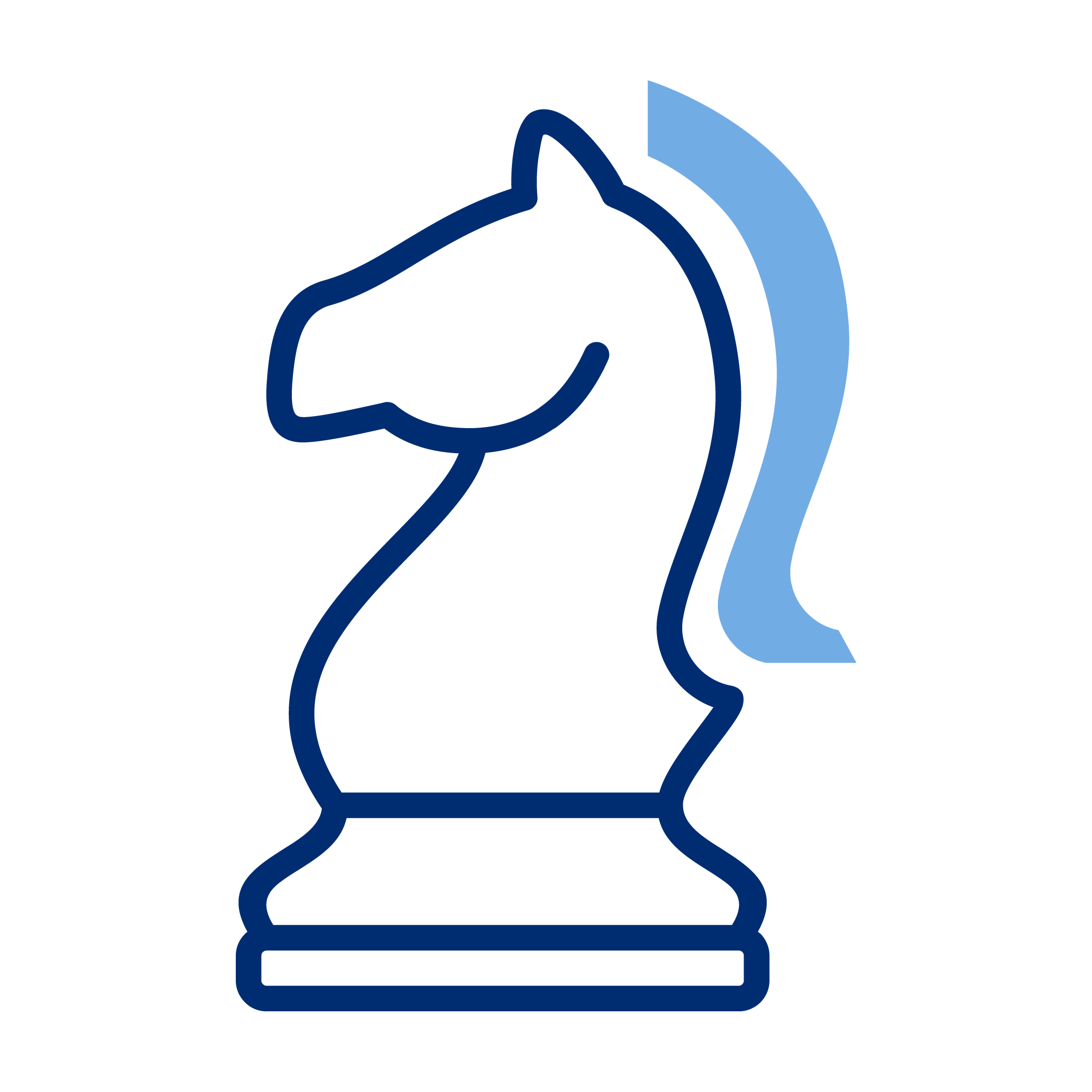 Simplified outline of a knight chess piece in dark blue with a light blue shield behind it.