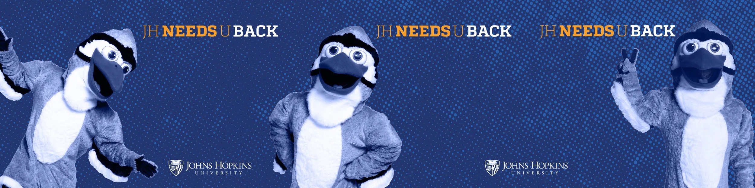 Three mascot characters of a bird in a bird costume with big eyes and a grey and white fur suit, standing against a blue dot-patterned background with the text 'JH Needs U Back' and the Johns Hopkins University logo.