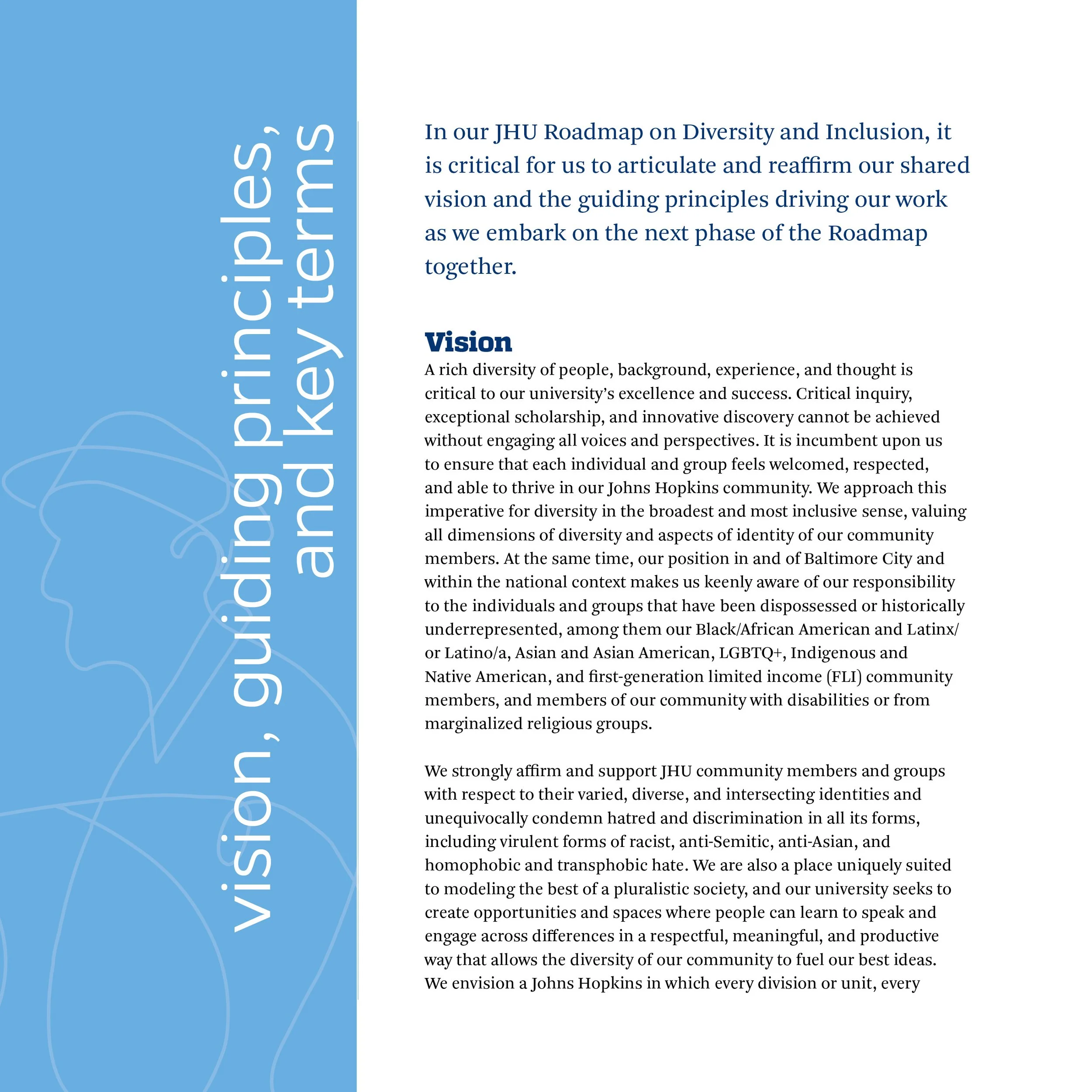 Text document titled 'JHU Roadmap on Diversity and Inclusion' with a blue left sidebar, white text, and the word 'Vision' in bold, discussing diversity and inclusion principles.