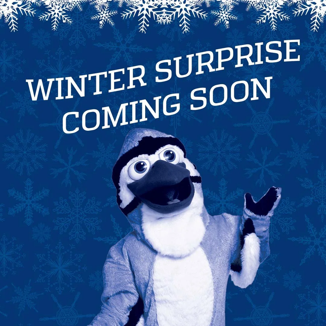 A blue background with snowflakes and text saying 'Winter Surprise Coming Soon'. A mascot dressed as a penguin character is smiling and waving.