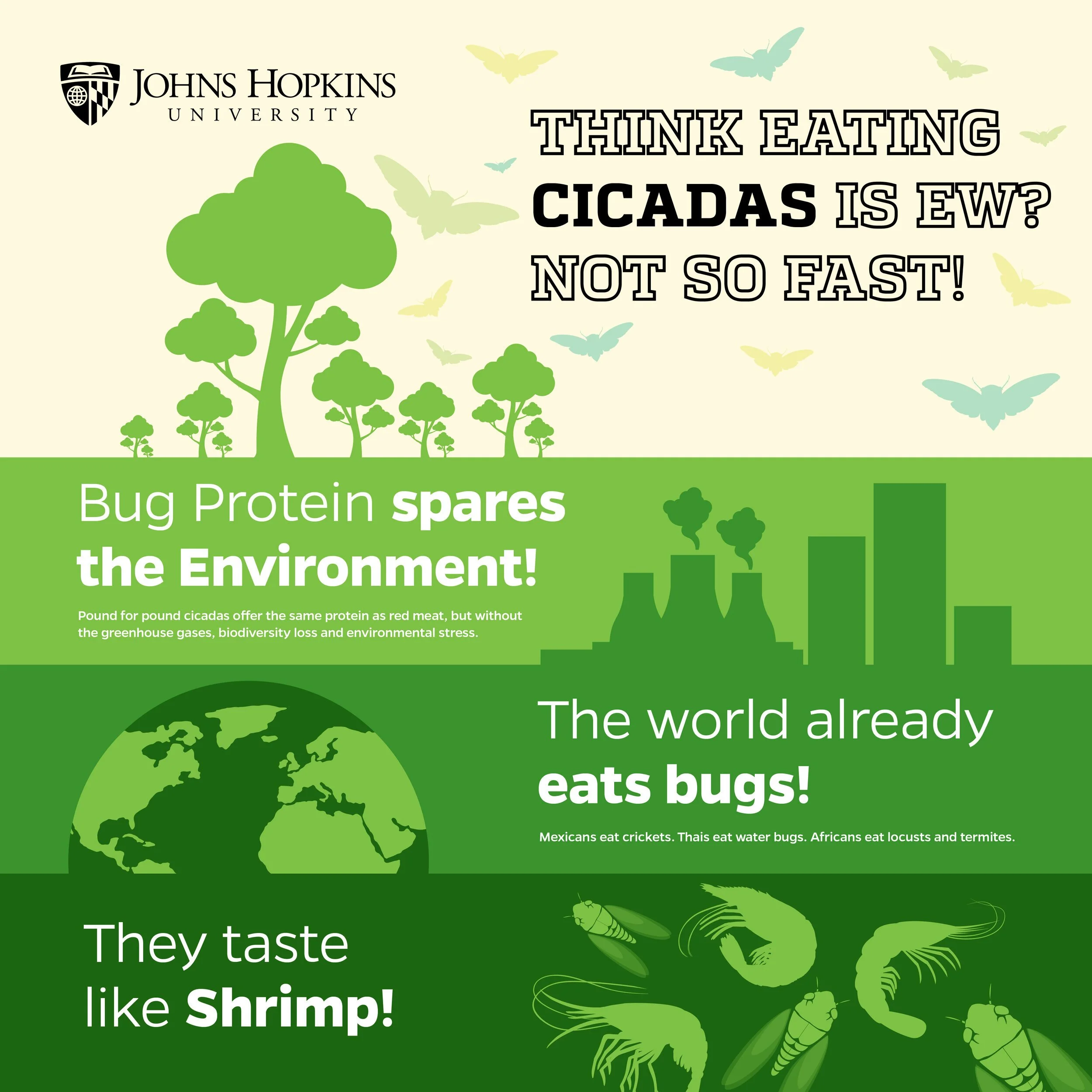 An infographic from Johns Hopkins University about eating bugs, with messages about bugs being environmental protein sources, climate benefits, and tasting like shrimp, featuring illustrations of bugs, trees, a globe, and a city skyline.