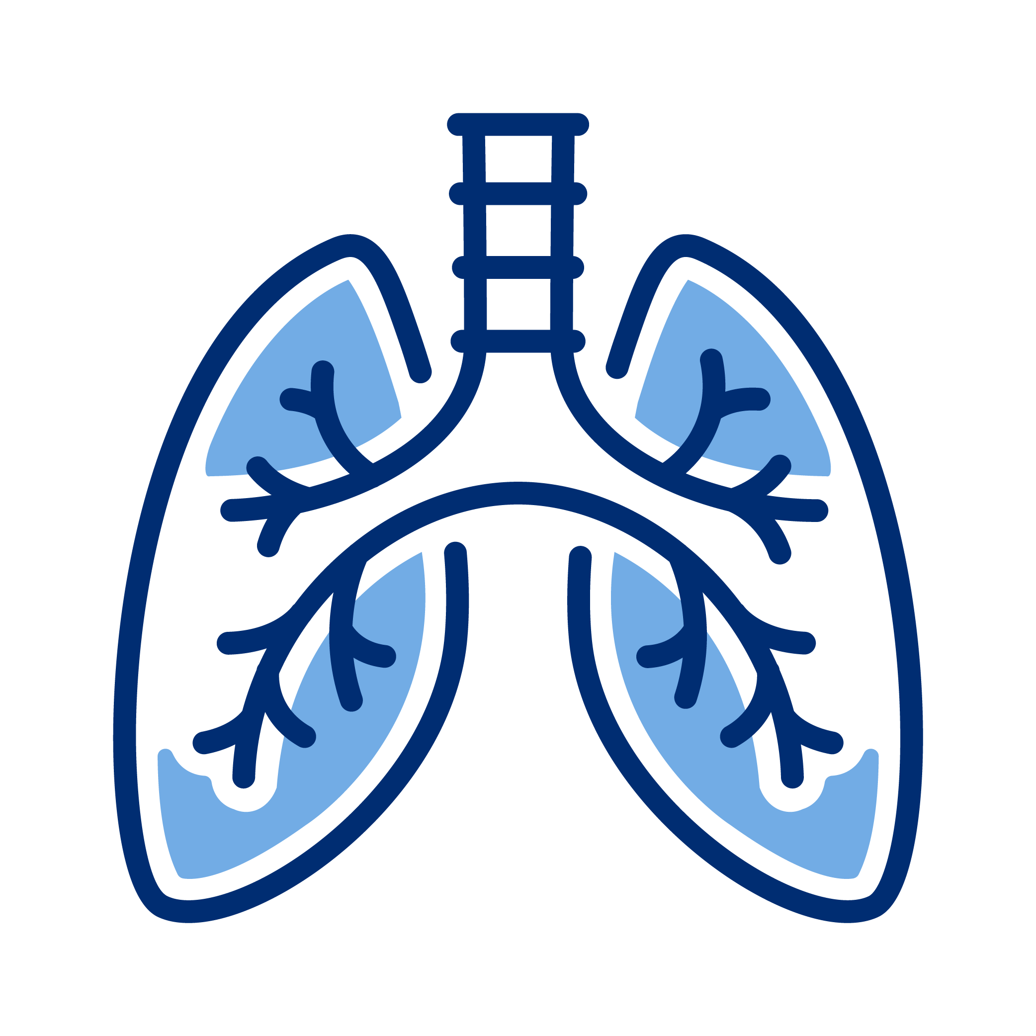 Illustration of human lungs with bronchi and alveoli, colored in shades of blue.