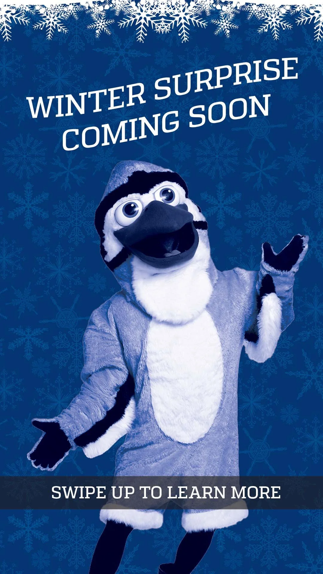 A person in a penguin mascot costume standing in front of a blue background with snowflakes, with the text "Winter Surprise Coming Soon" and "Swipe Up to Learn More."
