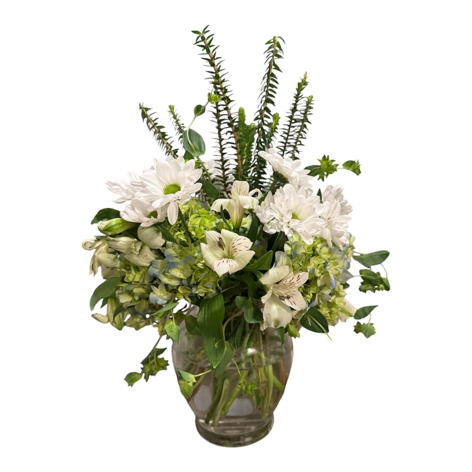 Gental Comfort