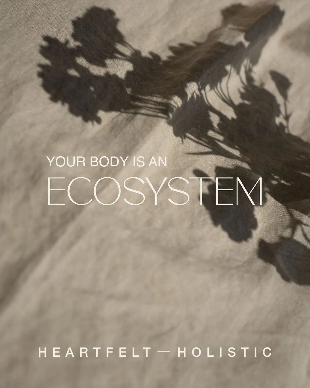 Your body isn&rsquo;t machinery that needs a mechanic &mdash; it&rsquo;s an absolutely incredible ecosystem that needs nurturing.

When something feels off (your hormones, energy, digestion, mood), it&rsquo;s usually NOT just one thing. We chase afte