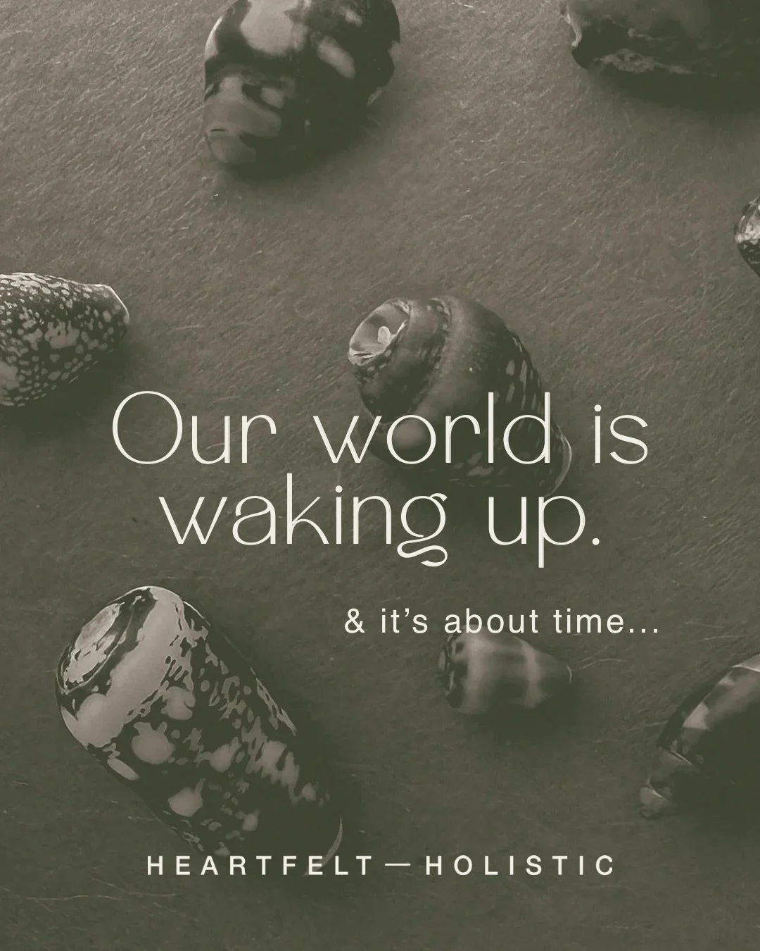 I mean. If you&rsquo;re not reevaluating some things in 2026, what are you even doing? 

Two months in and it&rsquo;s been a bit of a jolt. Nothing new under the sun, but all of the lies &amp; deception coming to light. And please no I&rsquo;m not as