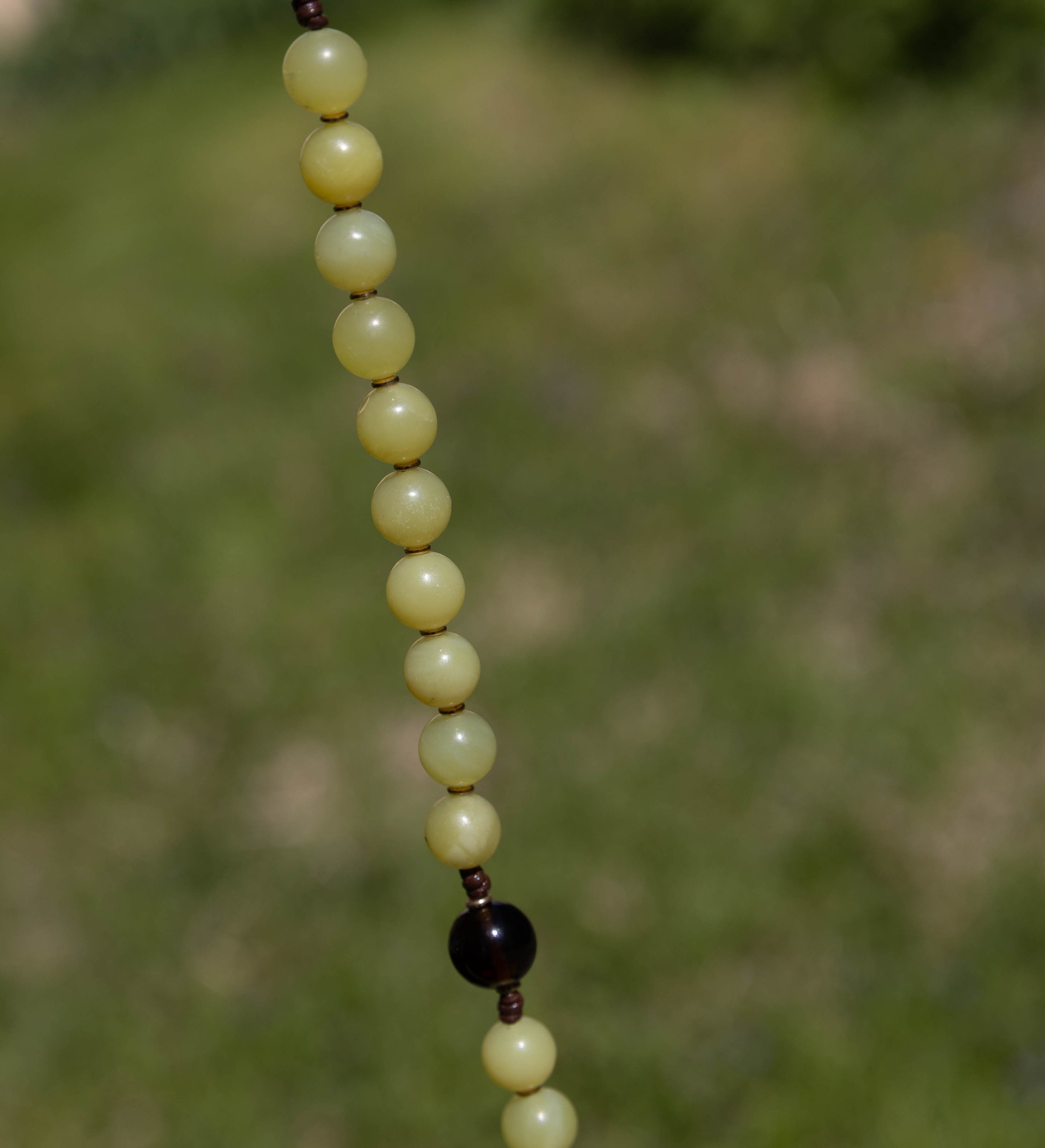 136A6774-2.jpg